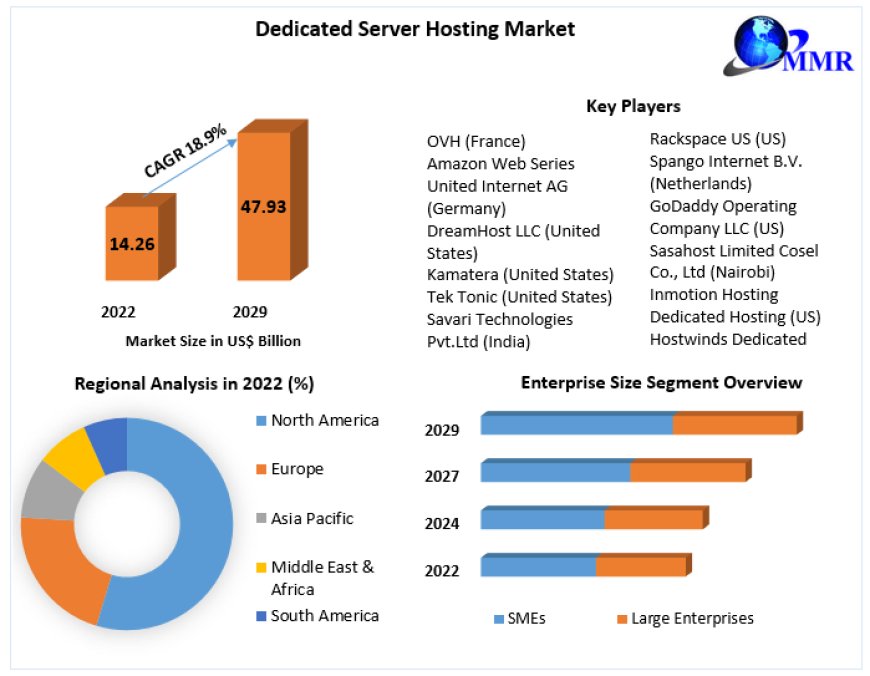 Dedicated Server Hosting Market Business Strategies, Revenue and Growth Rate Upto 2029