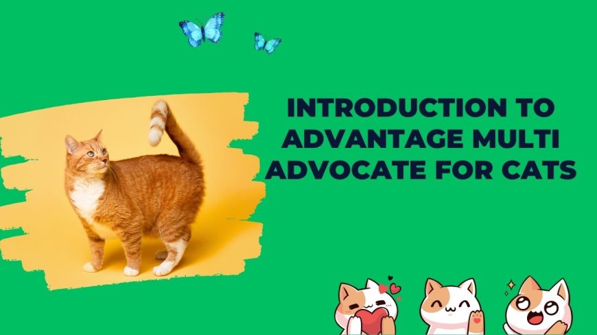 Advantage Multi Advocate for Cats: Protecting Your Feline Friend