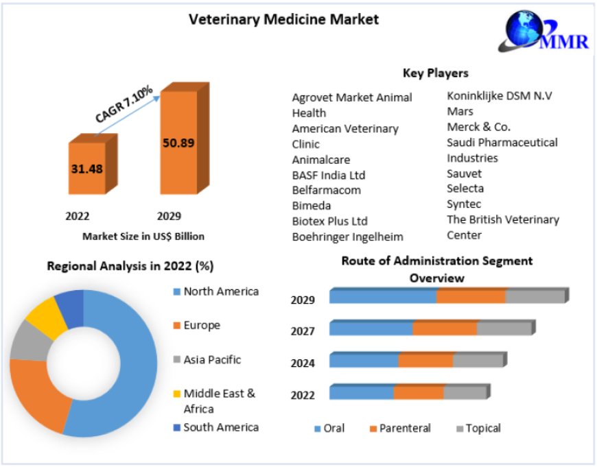 Veterinary Medicine Market Outlook Projected Growth to US$ 50.89 Bn. by 2029