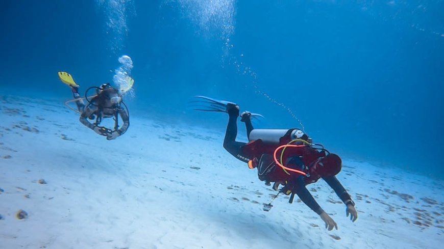 Diving into Dubai's Deep Blue: Underwater Adventures and Marine Life