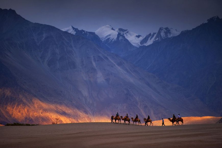 Ladakh Package Tour from Delhi - NatureWings Holidays - Book Now!