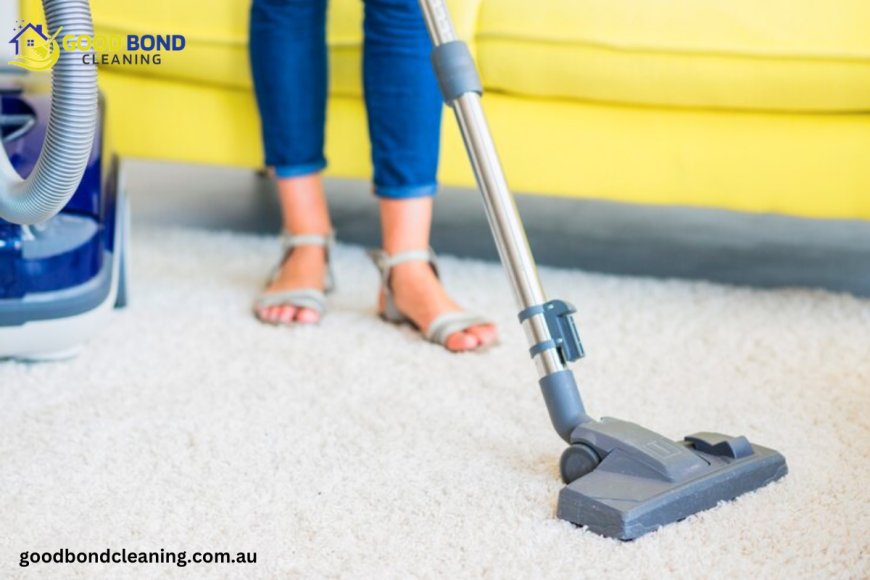 Deep Dive into the Best Carpet Cleaning in Brisbane: A Comprehensive Guide