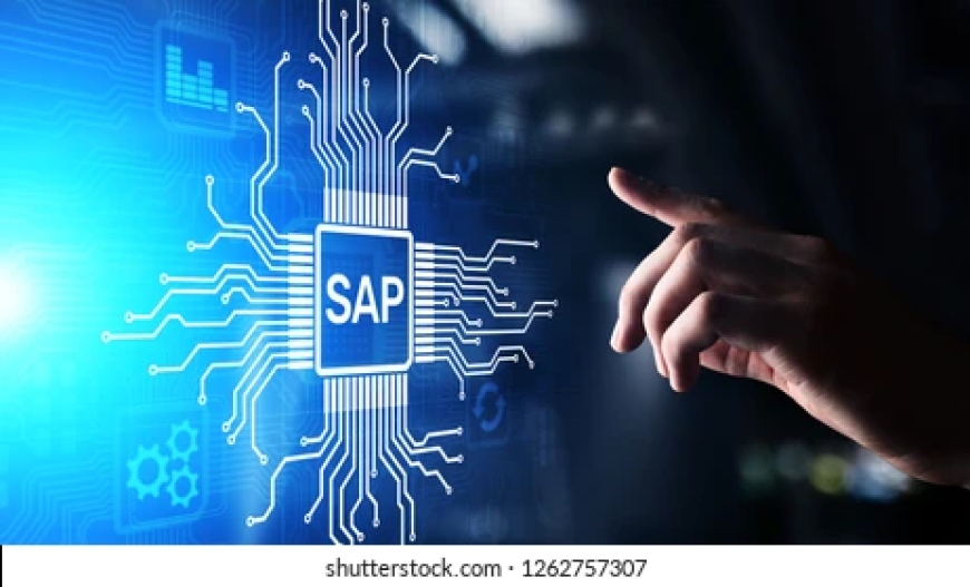 SAP Accreditation: Pune's Link to International Prospects