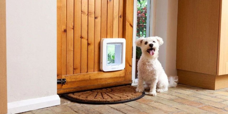 The closing guide to the Great Canine Doorways