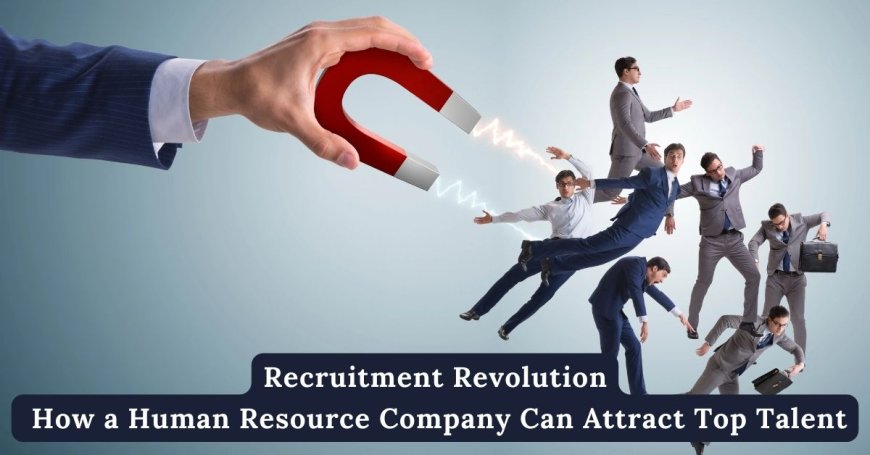 Recruitment Revolution: How a Human Resource Company Can Attract Top Talent