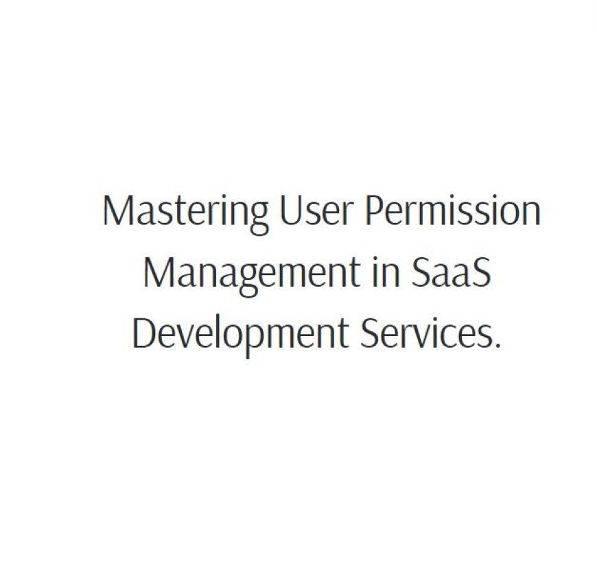 Mastering User Permission Management in SaaS Development Services
