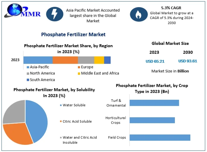 Phosphate Fertilizer Market Visionary Vistas: Market Size, Share, and Growth Insights Unleashed | 2024-2030