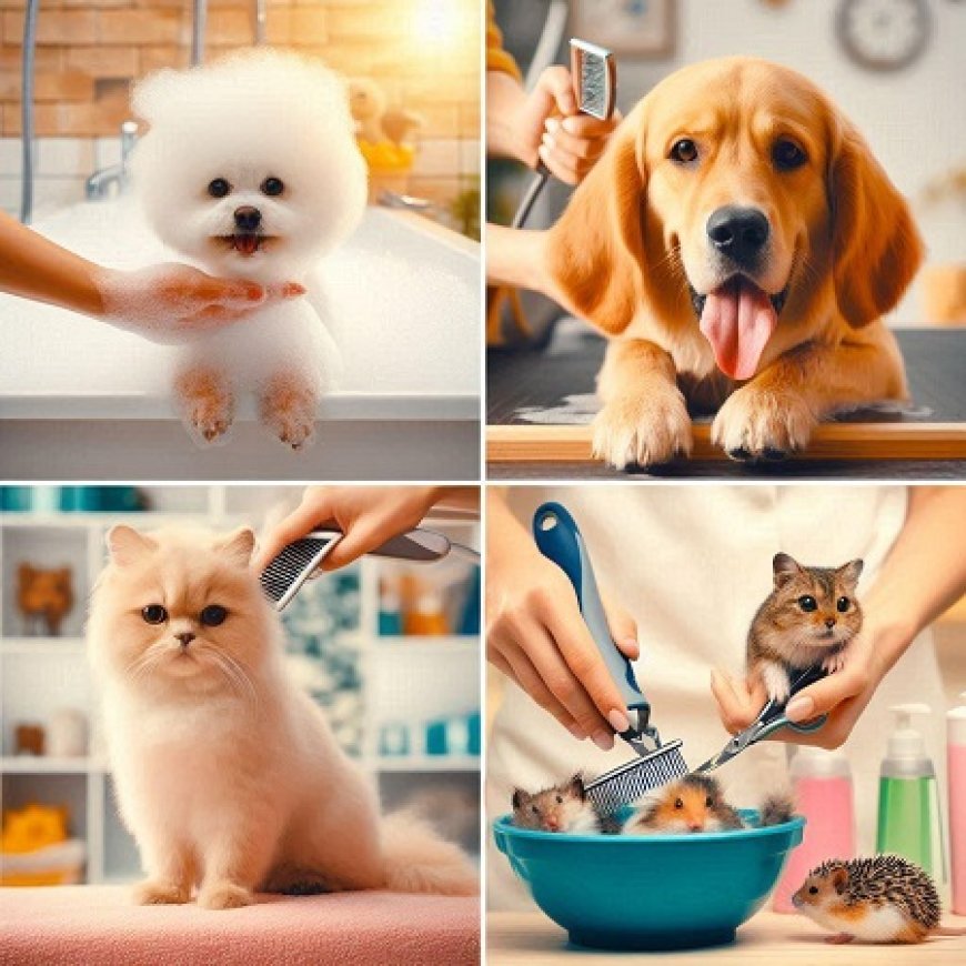 Pet Grooming Services Market is projected to expand at a CAGR of 7.2% from 2024 to 2034