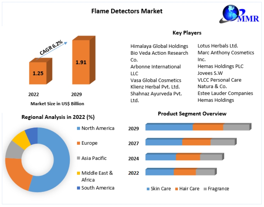 Flare-Up to Safety: Navigating the Global Flame Detectors Market