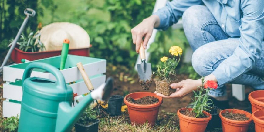 Sustainable Solutions Eco-Friendly Gardening Accessories for You