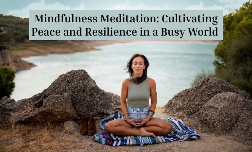 Mindfulness Meditation: Cultivating Peace and Resilience in a Busy World