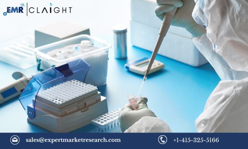 Diagnostic Testing Market Share, Size, Trends, Growth, Report 2024-2032