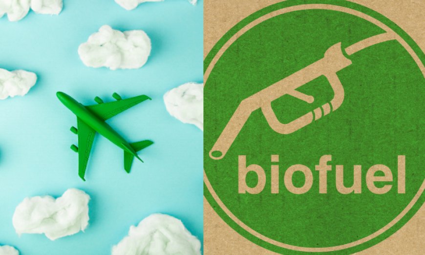 Unlocking the Skies: Navigating the Aviation Biofuels Market