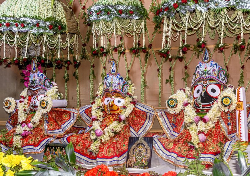 Sacred Wheels Turning: Insights into Jagannatha Puri Rath Yatra 2024