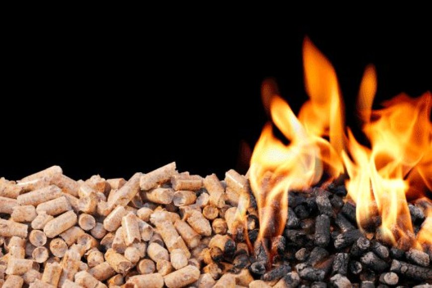 How to Fire Wood in Your Home