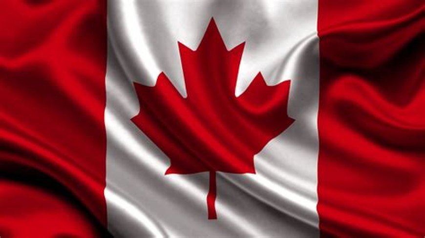 Best Canada Pnp Consultants In Dubai