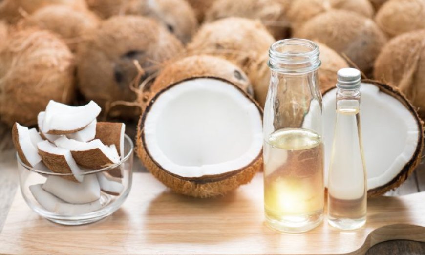 A Deep Dive into the Booming Coconut Extracts Market