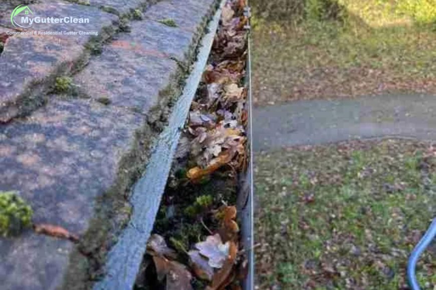 The Importance of Gutter Cleaning in Colchester