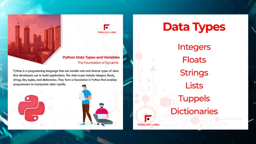 "Python Data Types and Variables: The Foundation of Dynamic Programming"