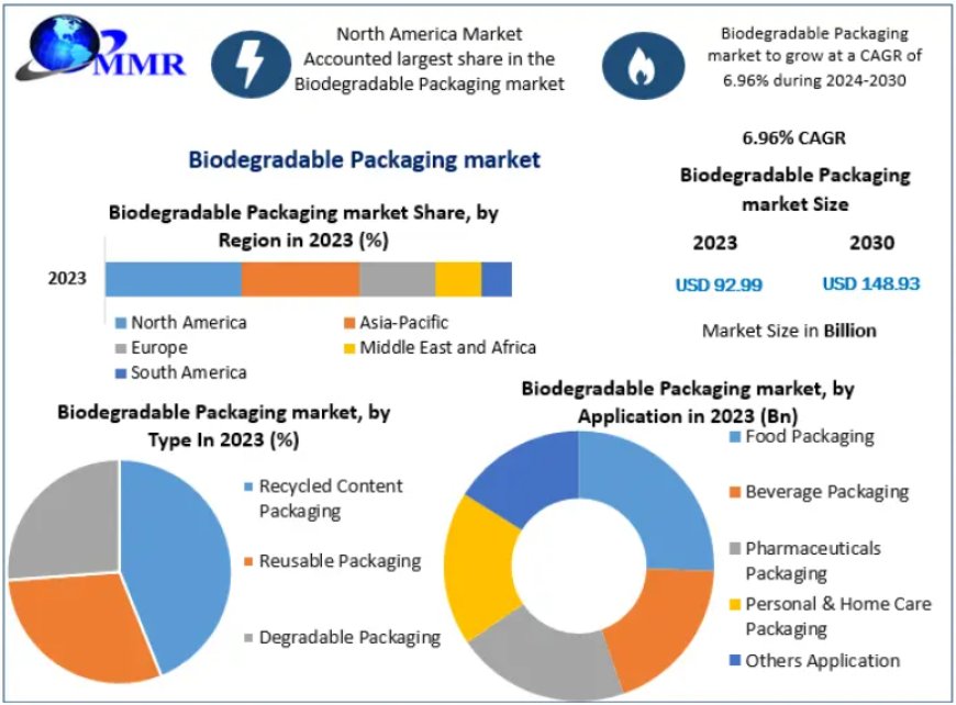 Biodegradable Packaging Market Forecasted Growth at 6.96% CAGR