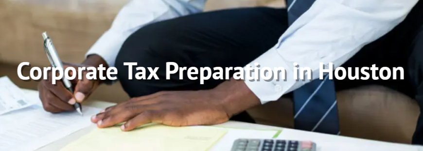 Individual Tax Preparation; A Comprehensive Guide, for Individuals and Businesses with Molentax