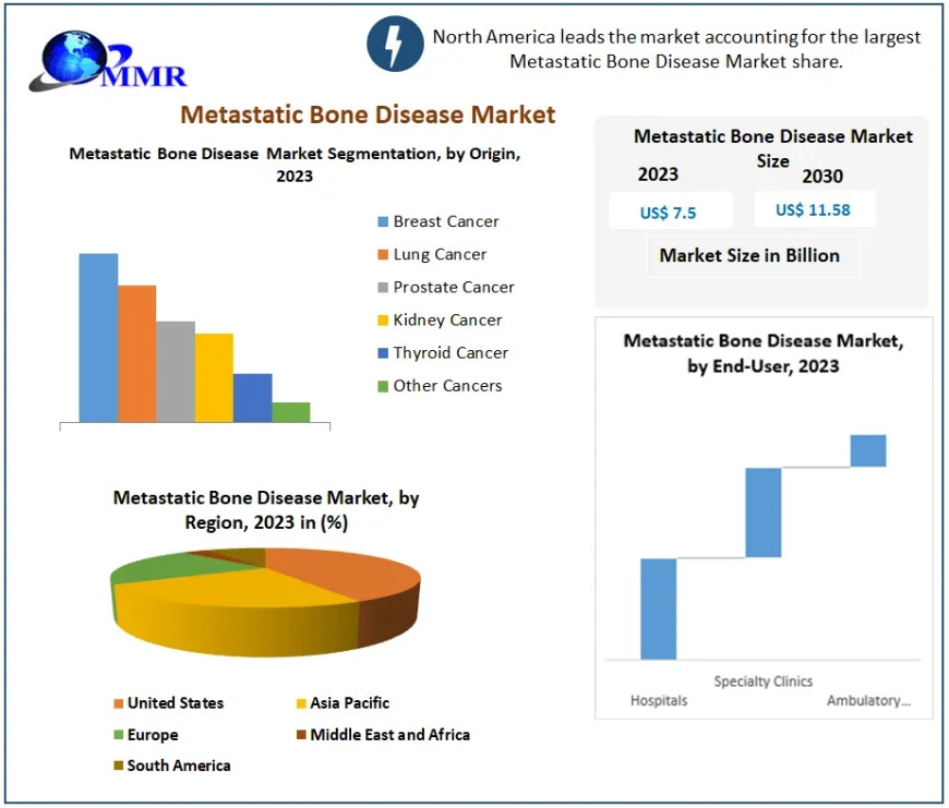 Metastatic Bone Disease Market Innovate for Impact: Trailblazers of Resilience in the Ever-Changing Business Paradigm | 2024-2030