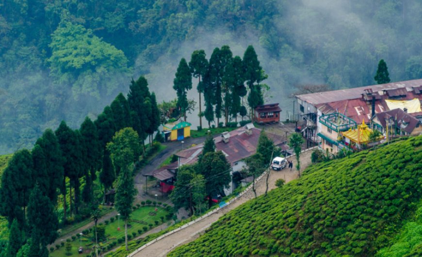 The Best Darjeeling Gangtok Tour Package: Amazing Summer Special Deals!