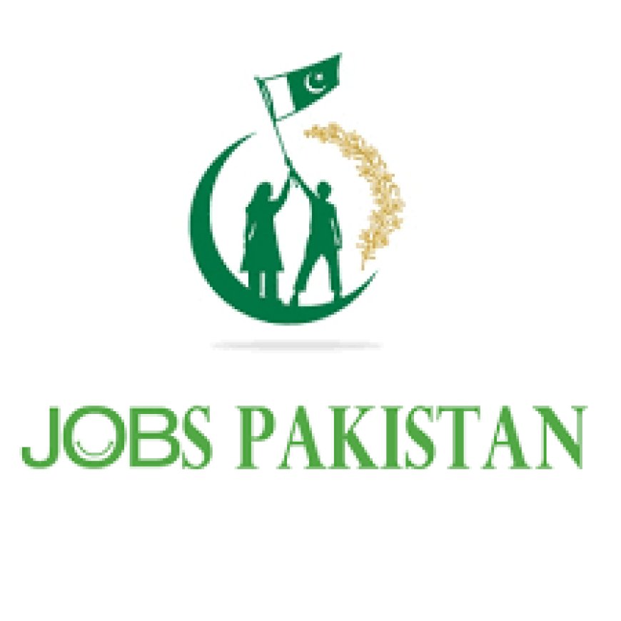 Jobs in Pakistan: Navigating Opportunities in a Diverse Landscape