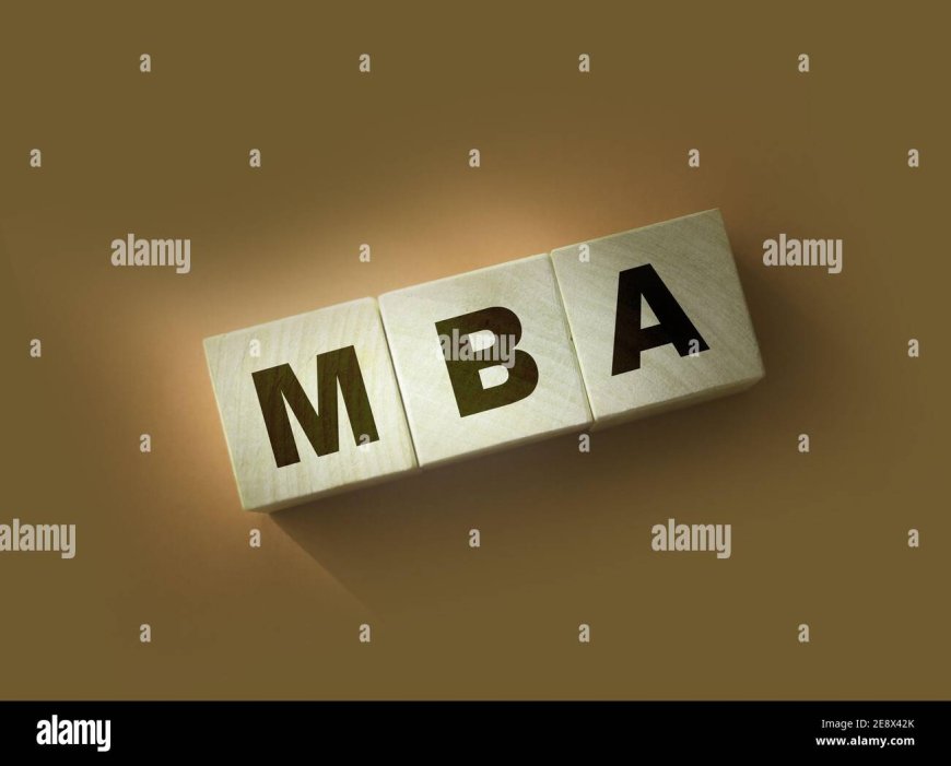 The Exciting Career Paths Jobs After MBA