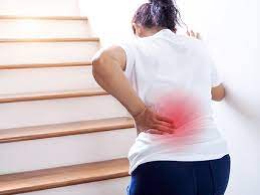Comprehensive Guide to Preventing and Managing Back Pain