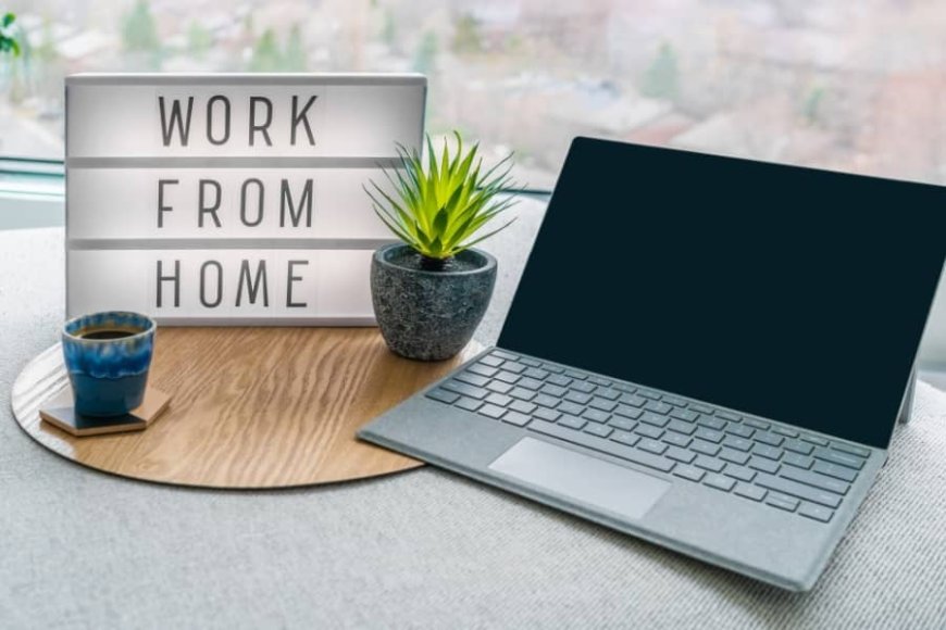 The Evolution of Online Jobs from Home