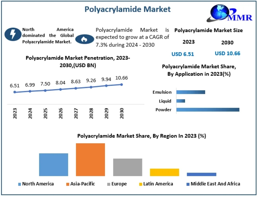 Polyacrylamide Market Size, Emerging Technologies, Regional Trends and Research Study: 2030