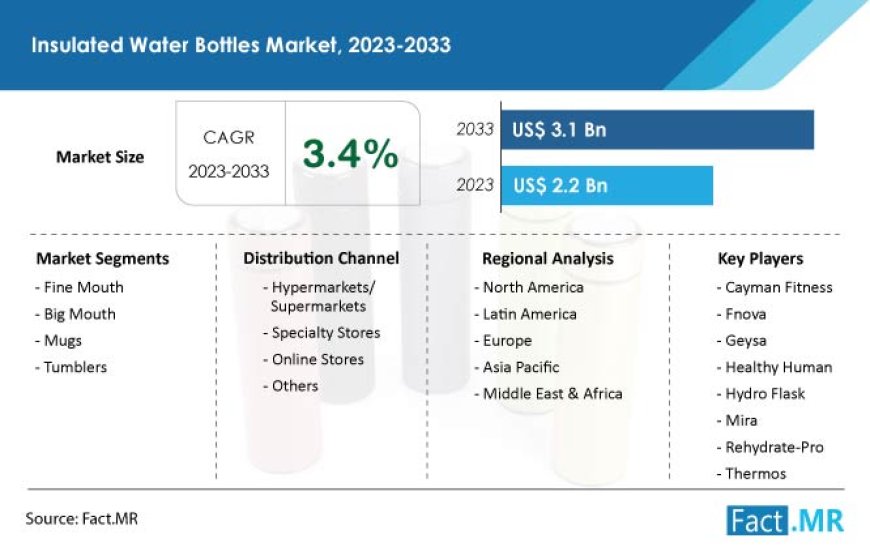 Sales of Insulated Water Bottles are likely to increase at a CAGR of 3.4% through 2033