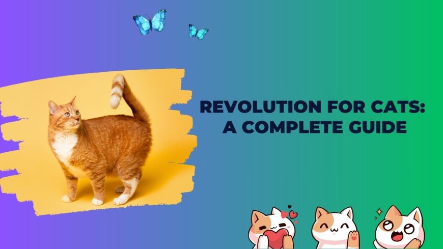 Revolution for Cats: A Complete Guide