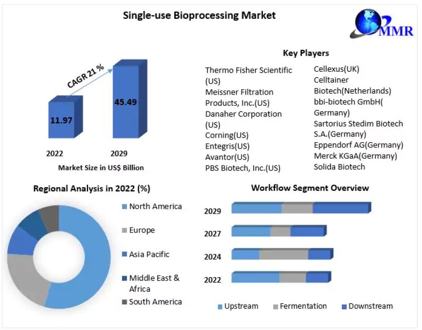 Single-use Bioprocessing Market: Global Trends, Statistics, and Segment Analysis (2023-2029)