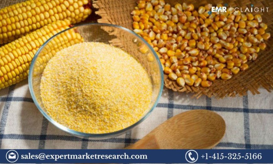 Corn Bran Market Price, Size, Share, Trends and Growth 2024-2032