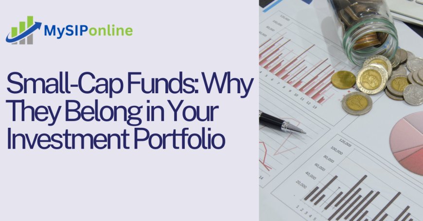 Small-Cap Funds: Why They Belong in Your Investment Portfolio