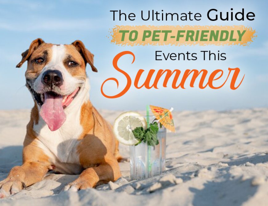 The Ultimate Guide to Pet-Friendly Events This Summer