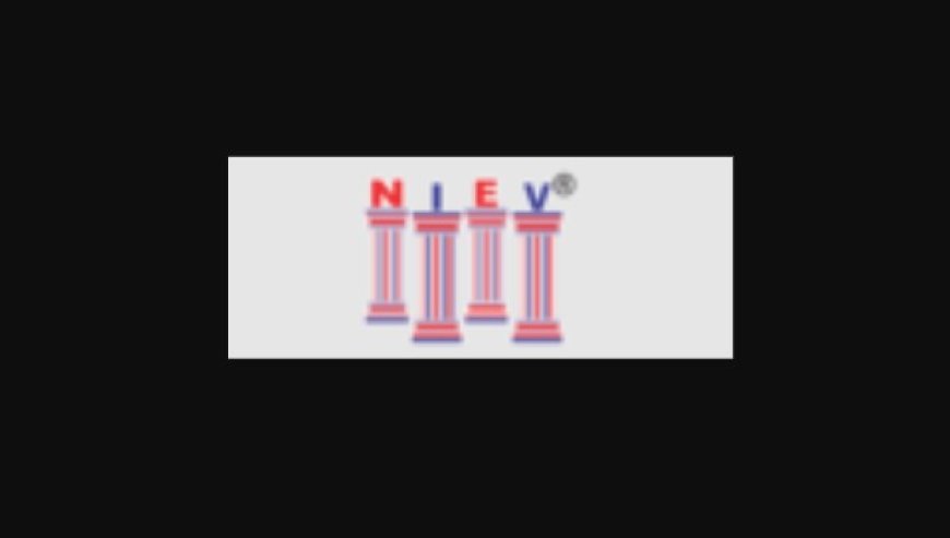 NIEV Education: Shaping Linguistic Fluency in English