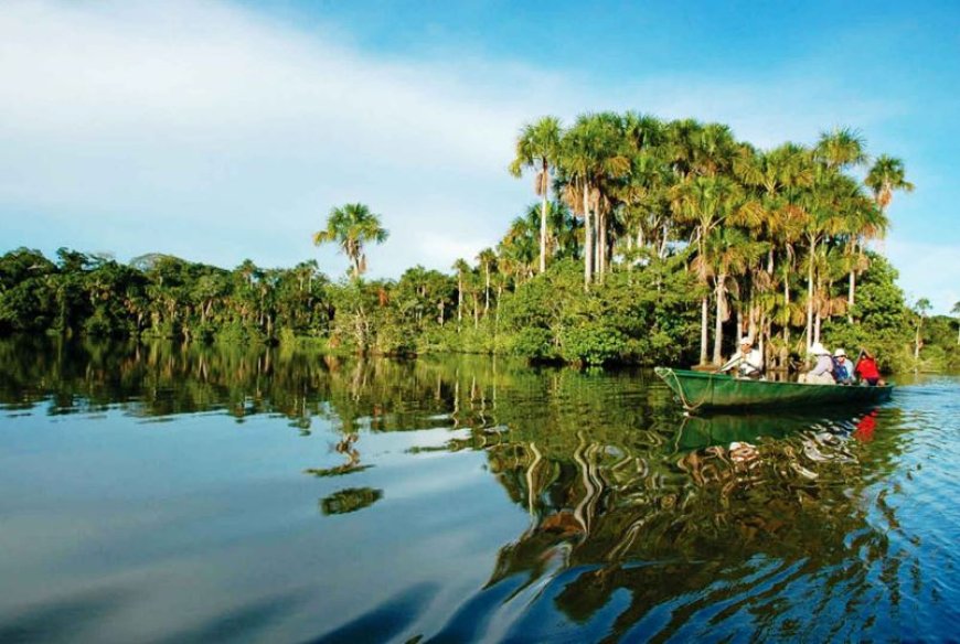 Unveiling the Hidden Gems: Lesser-Known Facts About Tambopata National Reserve