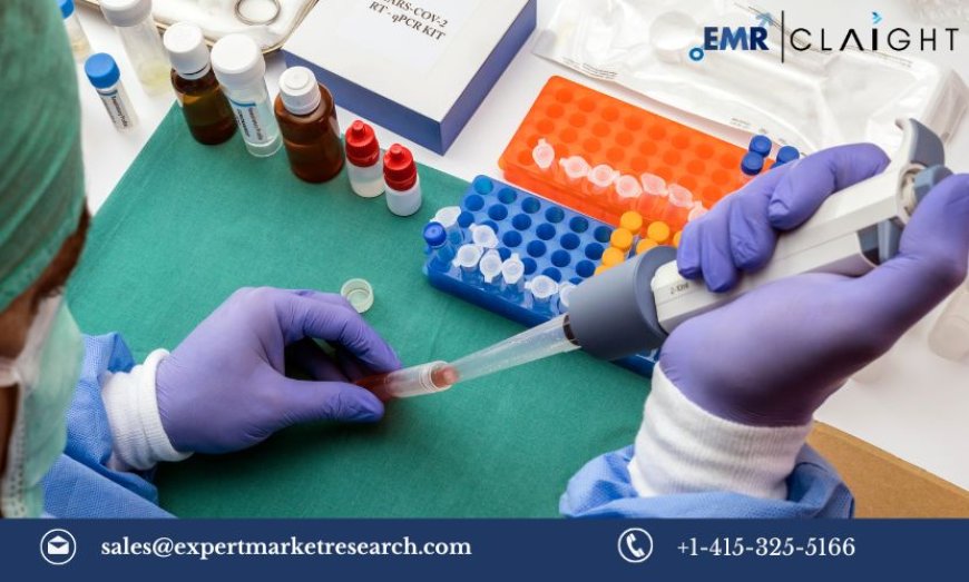 North America Viral Vector Manufacturing Market Size, Share, Trends, Growth, Report 2024-2032