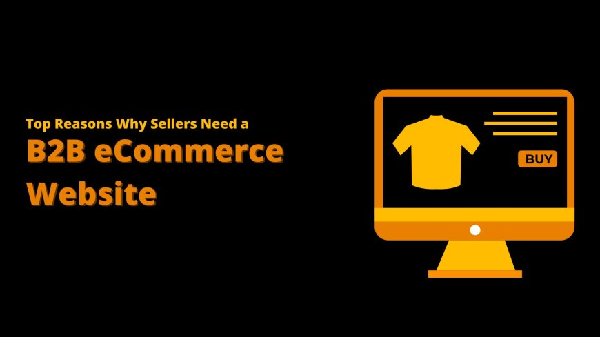 Top Reasons Why Sellers Need a B2B eCommerce Website