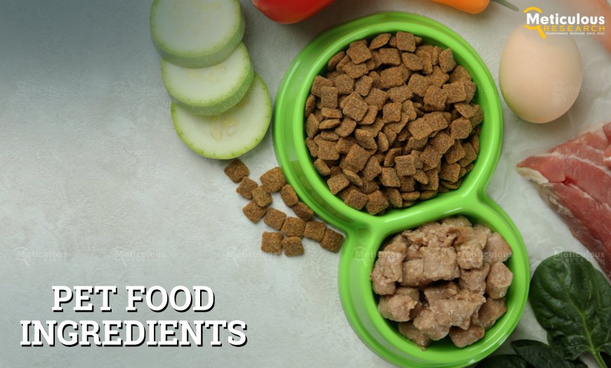 Pet Food Ingredients Market Projected to Reach $73.30 Billion by 2031, Unveils Meticulous Research® Report