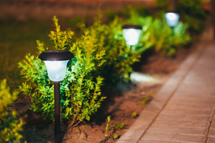 Bright Ideas: Cutting-Edge Outdoor Lighting Solutions in Houston, Texas