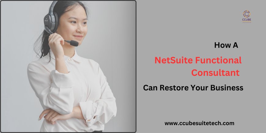 How a NetSuite Functional Consultant Can Restore Your Business?
