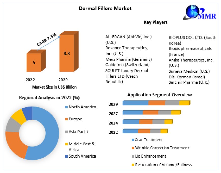 Dermal Fillers Market Risk Factors, Economic Fluctuations, Drivers in Future Analysis by 2030