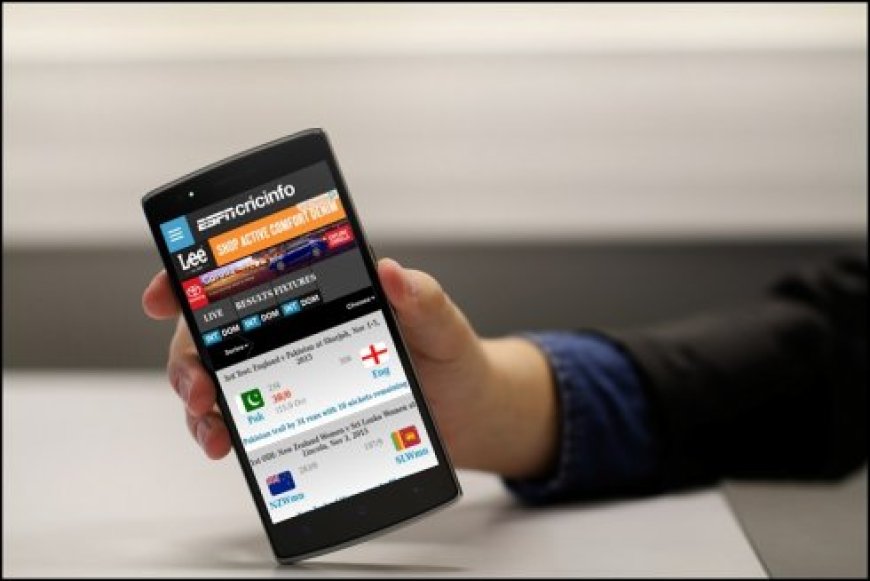 Elevating Cricket Enthusiasm: A Deep Dive into Cricket Score App Development Companies