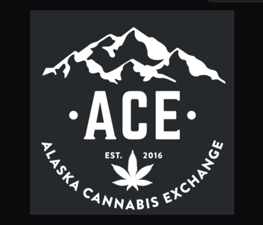 The Best Guide to Buying CBD in Anchorage