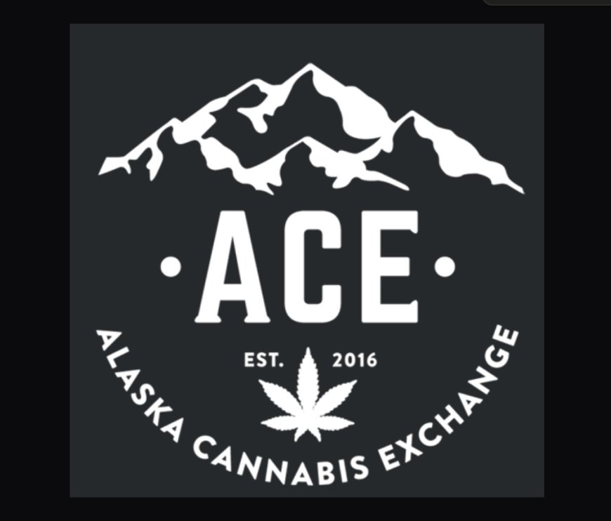 Exploring the Therapeutic Potential of CBD Oil in Anchorage, AK