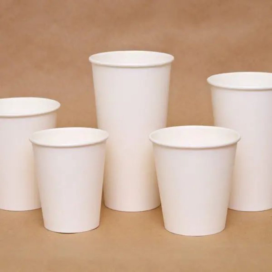 Are Compostable Cups the Future of Beverage Packaging?